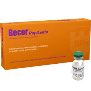 BECOR RAPILENTO 6MG/6MG X AMPOLLA + JERINGA