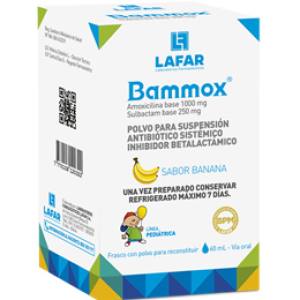 BAMMOX SUSPENSION X 60 ML