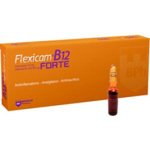 FLEXICAM B12 FORTE X AMPOLLA