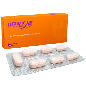 FLEXIMICINA FORTE 1 GR X COMPRIMIDO