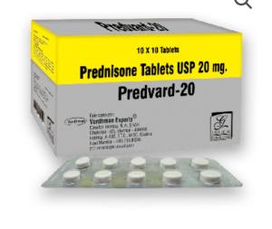 PREDVARD 20