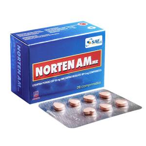 NORTEN AM  COMP.