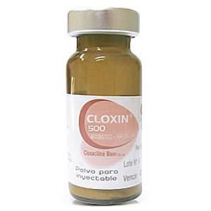 CLOXIN/CLOXACILINA 500 MG X VIAL