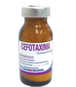 CEFOTAXIMA 1G  VIAL HAHNEMANN