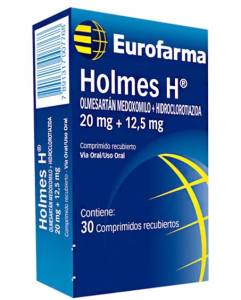 HOLMES H 20