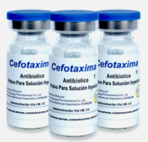 CEFOTAXIMA 1GR VIAL - DISMEDIN
