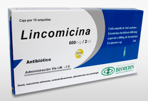 LINCOMICINA 600 MG AMP.- DISMEDIN