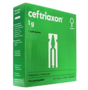 CEFTRIAXON 1 GR I.M. PACK - TERBOL