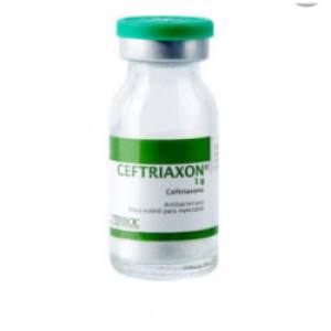 CEFTRIAXON 1 GR X VIAL TERBOL
