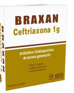 BRAXAM INYECTABLE