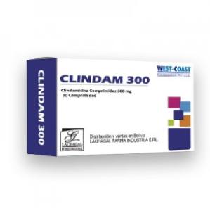 CLINDAM 300 X CAPSULA