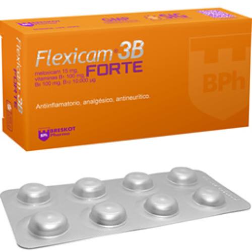 FLEXICAM 3B FORTE X COMP. RECUB.